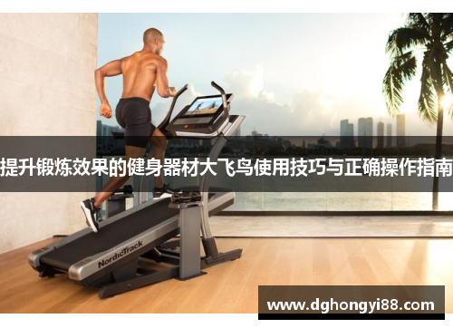 提升锻炼效果的健身器材大飞鸟使用技巧与正确操作指南