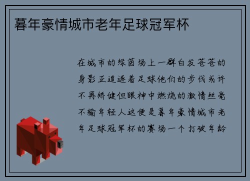 暮年豪情城市老年足球冠军杯