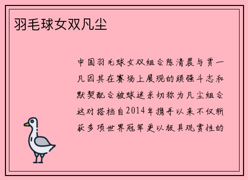 羽毛球女双凡尘